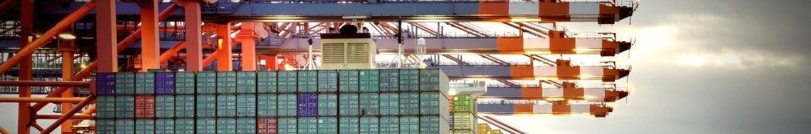 A large cargo ship in the water with cranes.